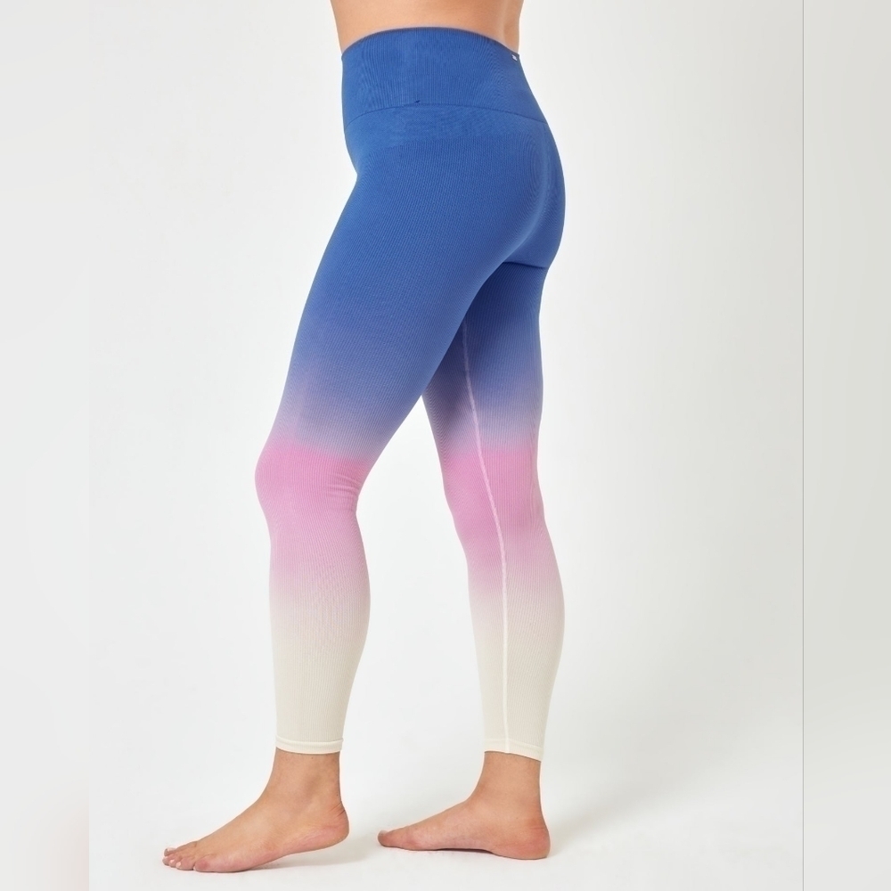 L*SPACE Ombre Work It Legging•M/L - Picture 4 of 7